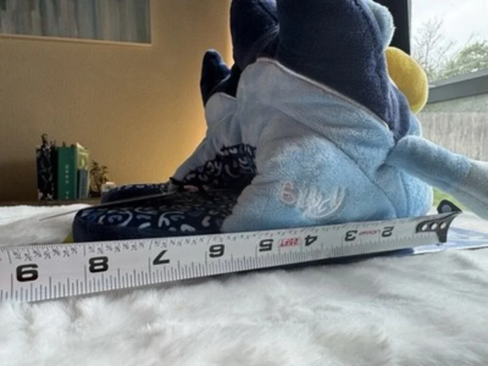 Brand New Bluey Slippers Size Medium NWT